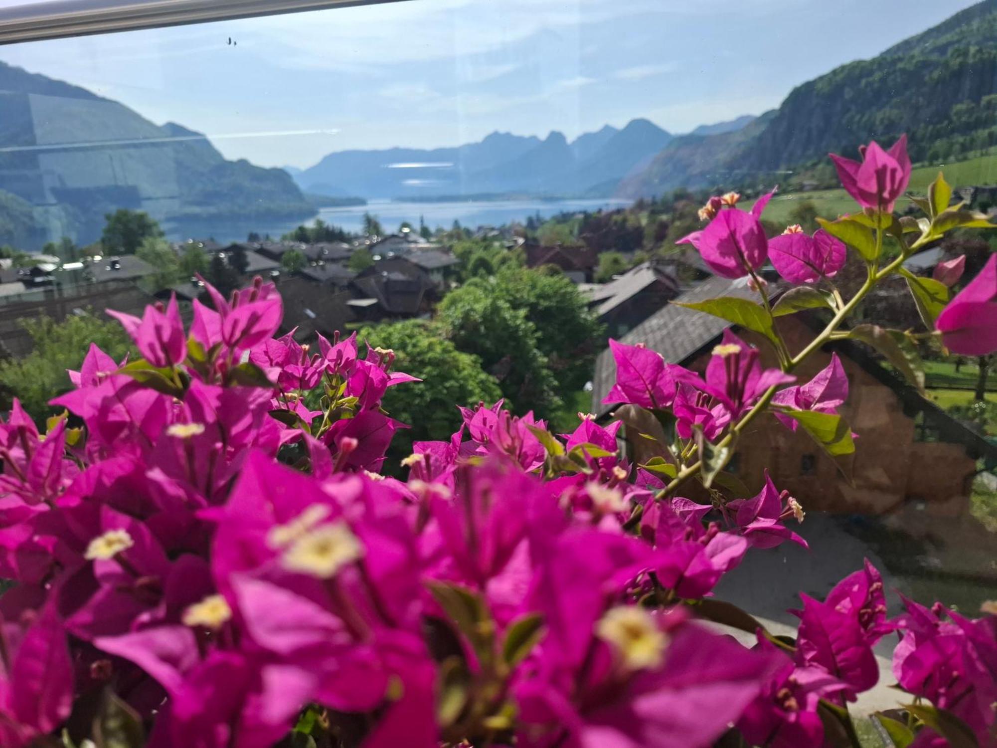 Traum Blick Sankt Gilgen Exterior foto